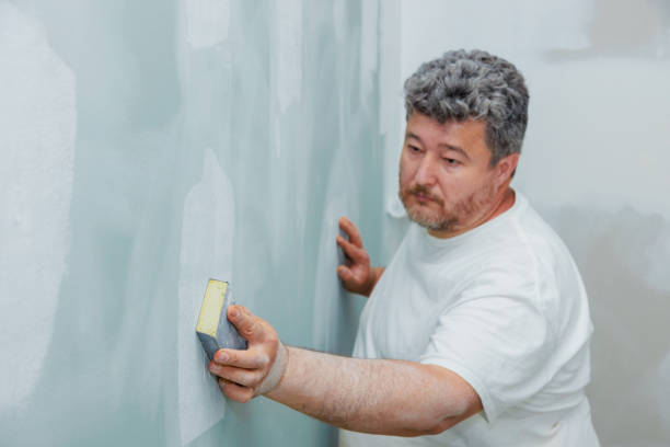 Best Water-Damaged Drywall Repair  in Eaton, OH